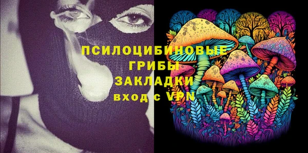 PSILOCYBIN Богородицк